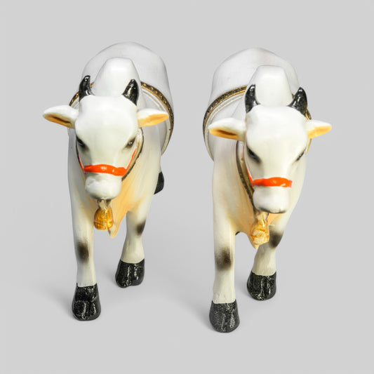 Ongole Bulls Pair - Medium