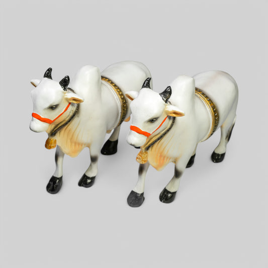 Ongole Bulls Pair - Medium