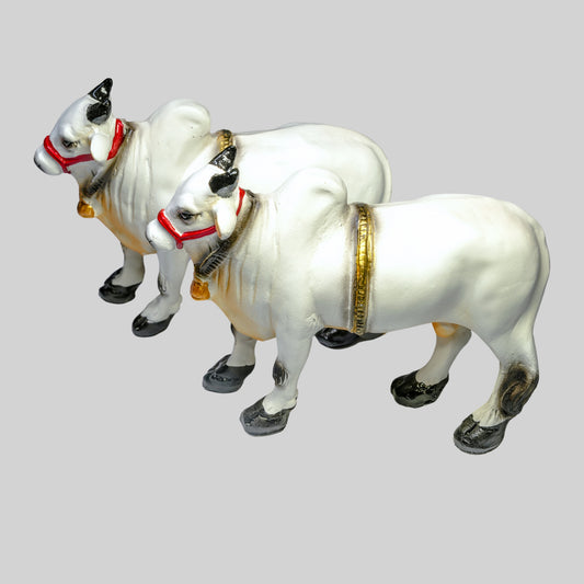 Ongole Bulls Pair - Small