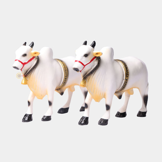 Ongole Bulls Pair - Medium