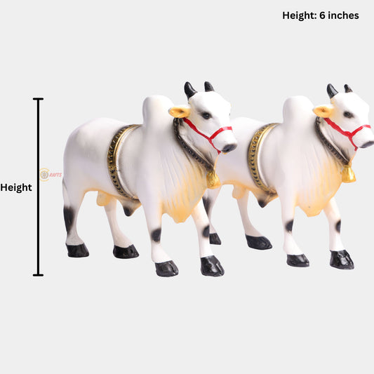 Ongole Bulls Pair - Medium