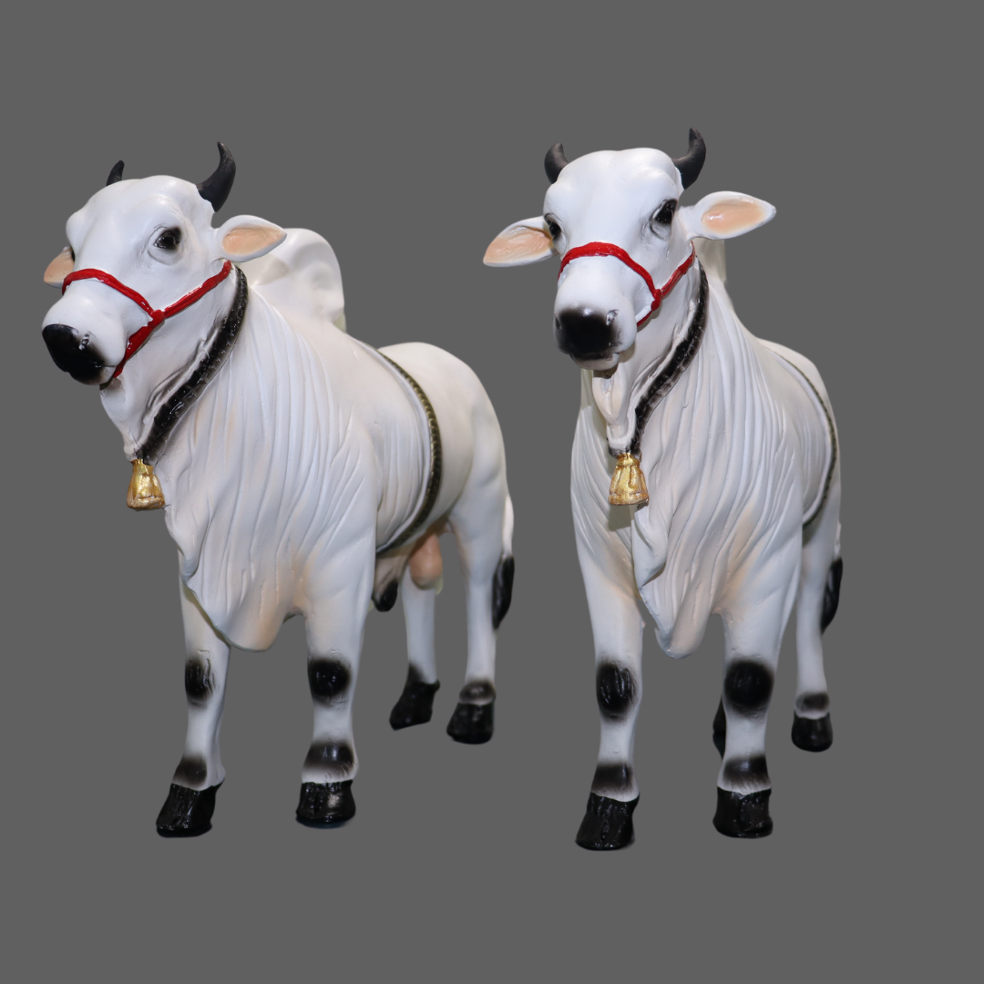 Large Fiber Ongole Bull Pair - Table Decoration Figurines