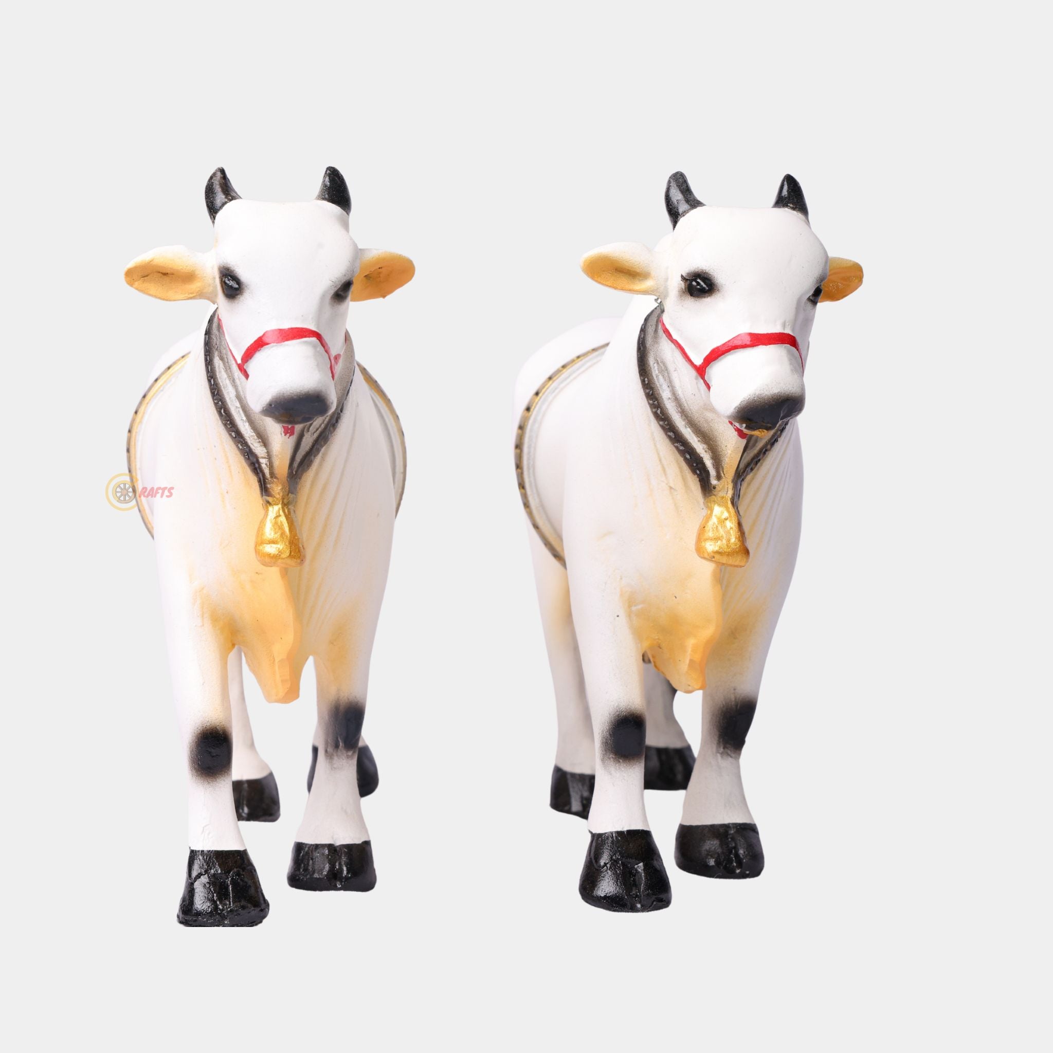 Ongole Bulls Pair - Medium